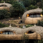 Why Luxury Hotel Lobbies Are Being Replaced by Private Treehouses (And It’s Trending)