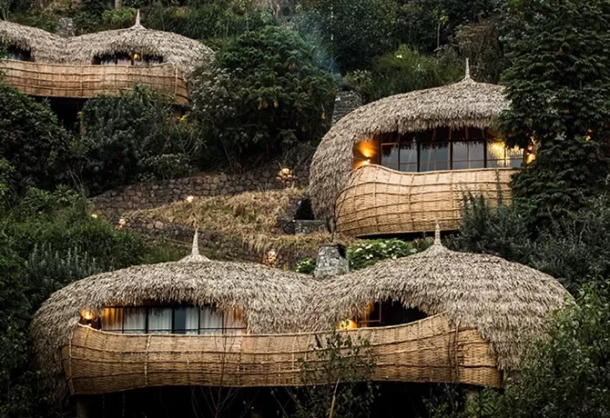 Why Luxury Hotel Lobbies Are Being Replaced by Private Treehouses (And It’s Trending)