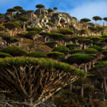 Why Everyone Is Suddenly Booking Trips to This Forgotten Island Gem