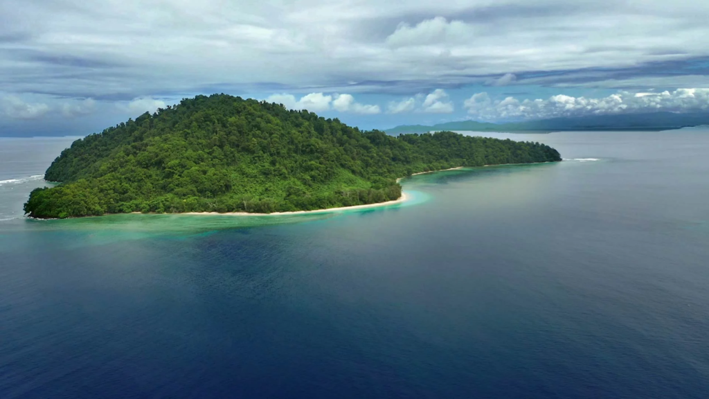 We Spent 24 Hours on an Uninhabited Island — This Is What Happened