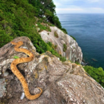 Is This the World’s Most Dangerous Island? Visitors Swear It’s Haunted